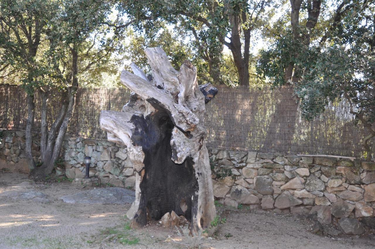 2Ba Domaine Malacucina Lumio Exterior foto