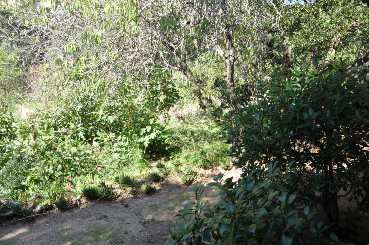 2Ba Domaine Malacucina Lumio Exterior foto